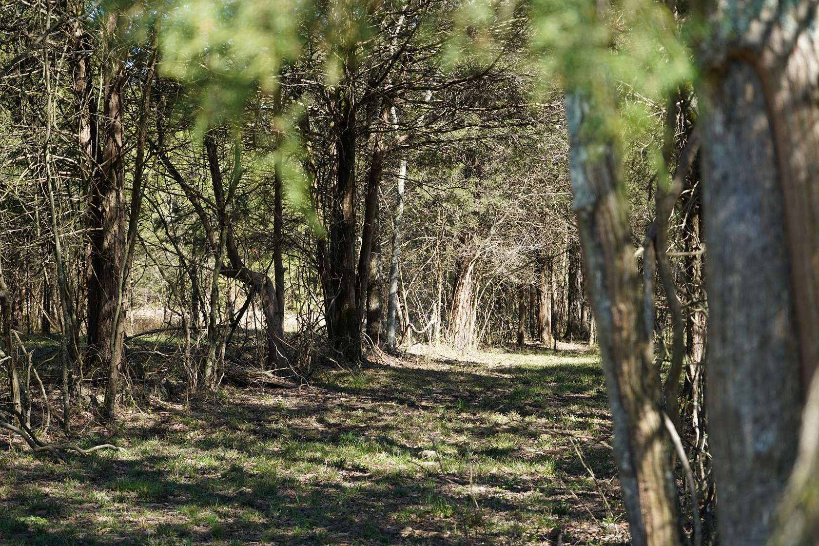 5.5 Acres of Residential Land for Sale in Columbia, Tennessee