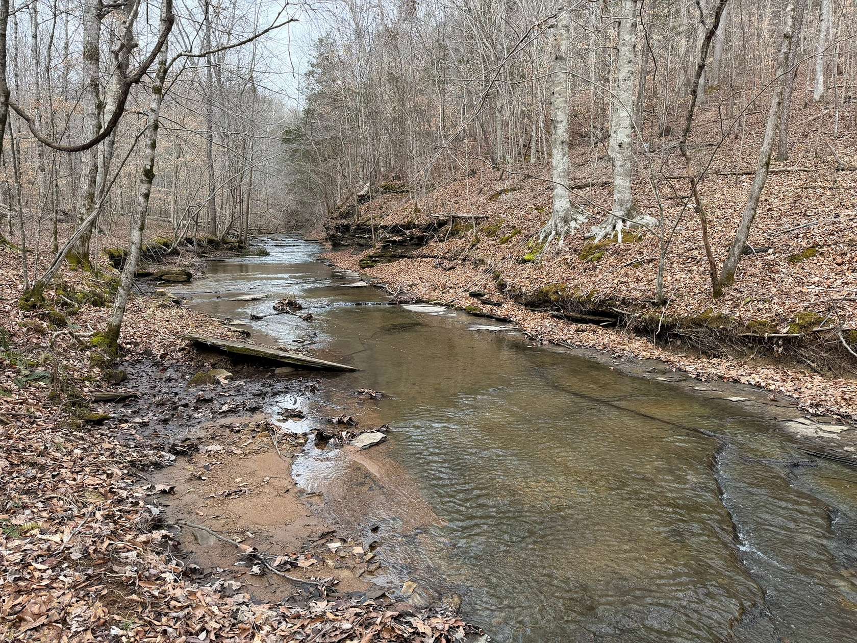 115 Acres of Recreational Land for Sale in Charlotte, Tennessee