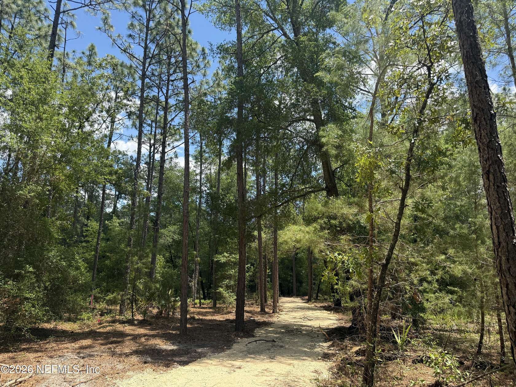 2 Acres of Residential Land for Sale in Interlachen, Florida