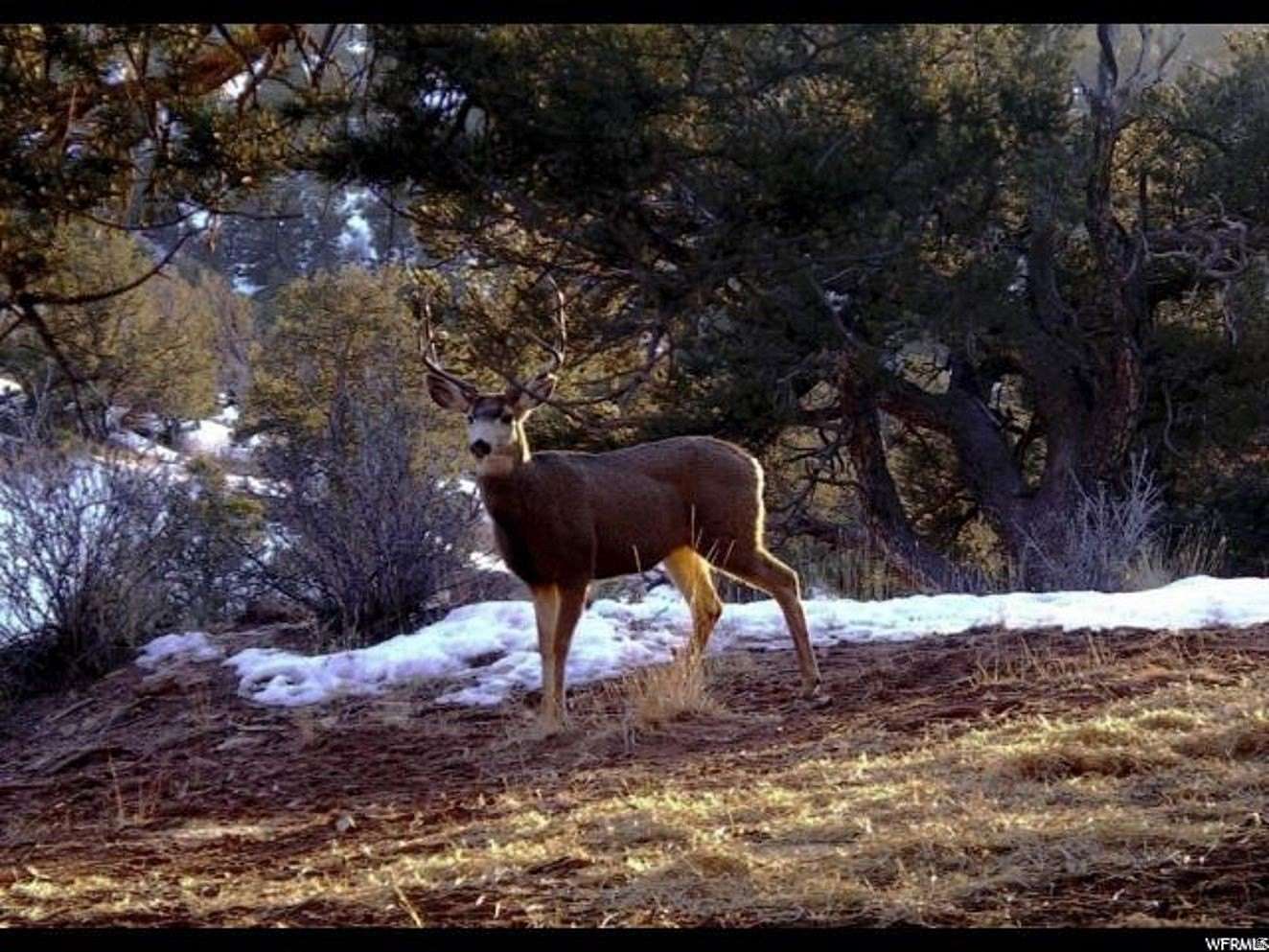 9.82 Acres of Land for Sale in Duchesne, Utah