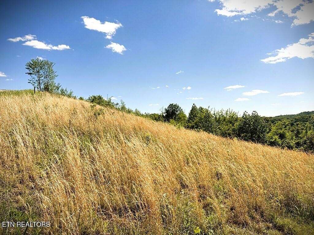 1.48 Acres of Land for Sale in Hilham, Tennessee