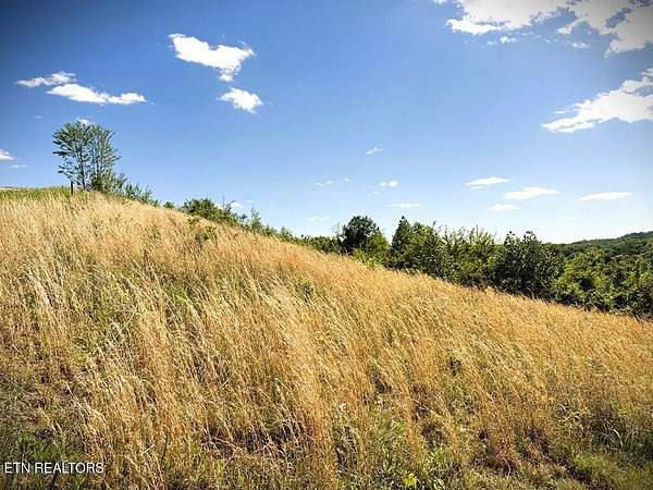 1.48 Acres of Land for Sale in Hilham, Tennessee