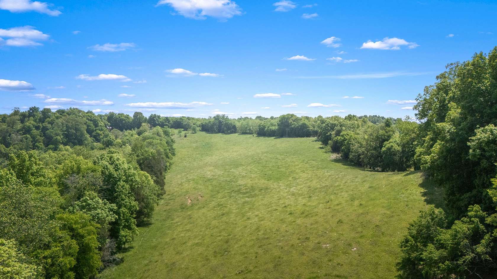 29.1 Acres of Land for Sale in Belvidere, Tennessee