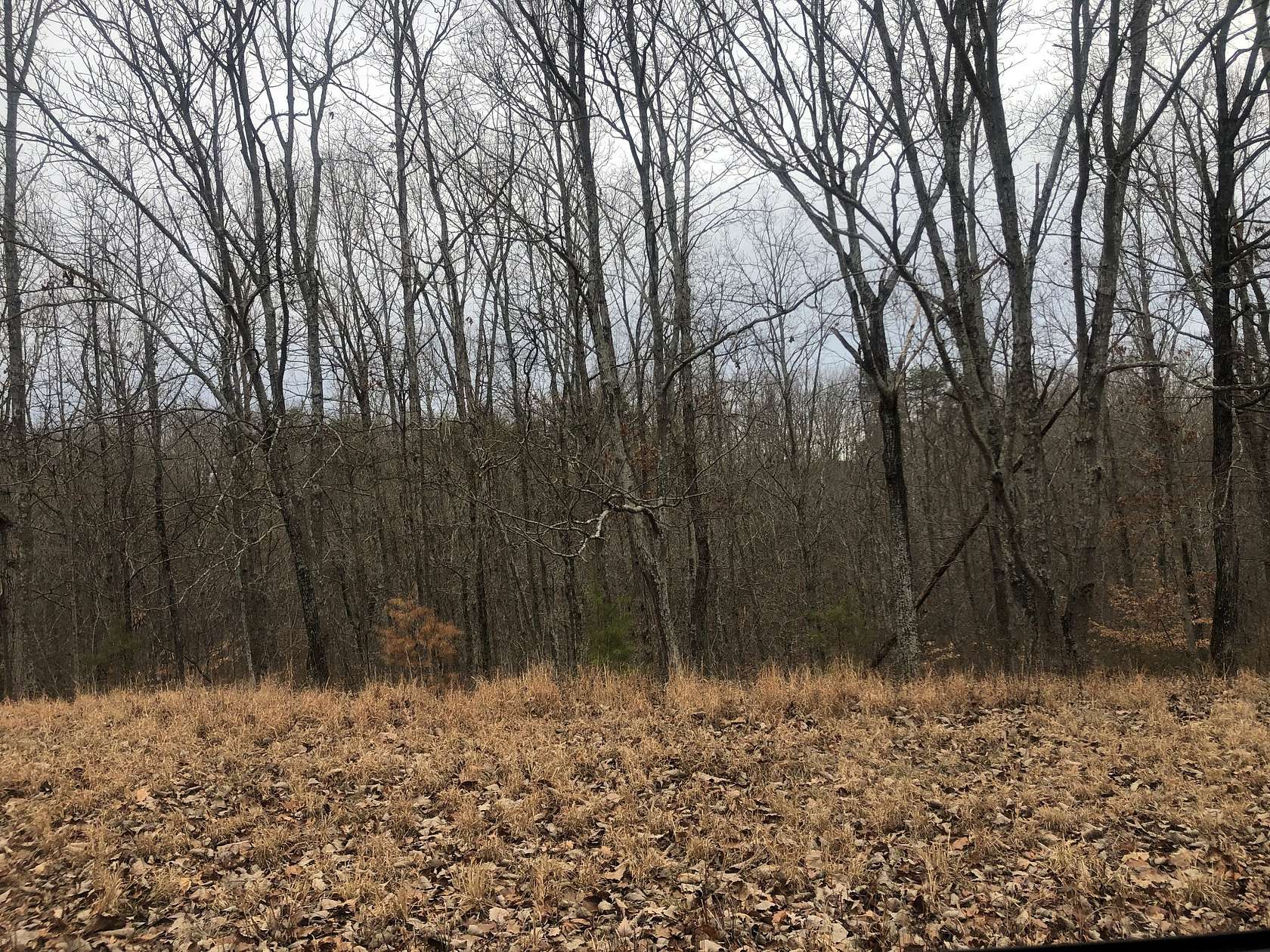 2.12 Acres of Residential Land for Sale in Waverly, Tennessee