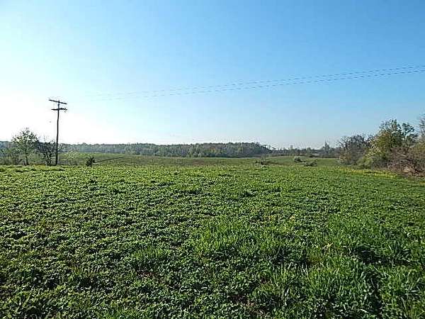 38.6 Acres of Recreational Land for Sale in Camden, Michigan