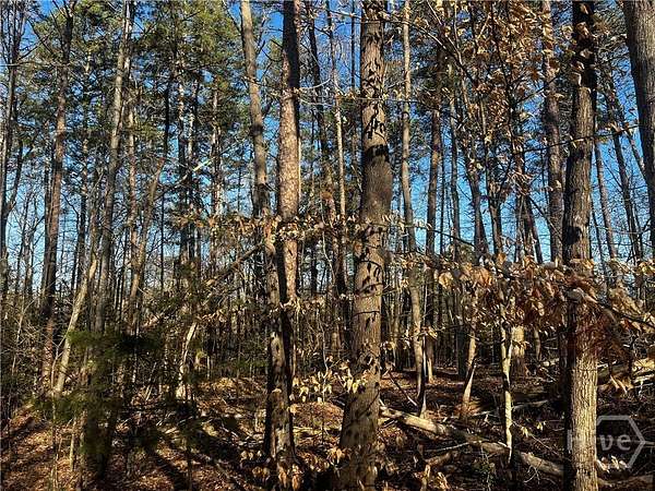 0.39 Acres of Residential Land for Sale in Lavonia, Georgia