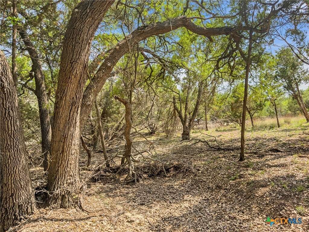 5.1 Acres of Residential Land for Sale in Blanco, Texas