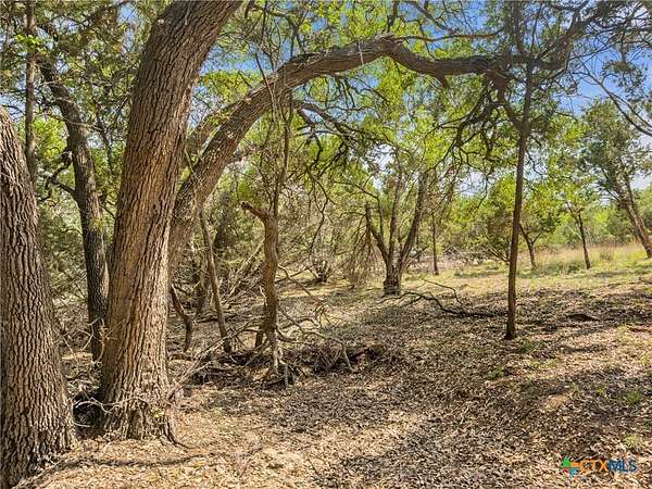 5.1 Acres of Residential Land for Sale in Blanco, Texas