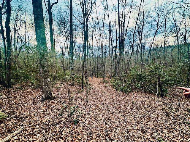 14.8 Acres of Land for Sale in Crossville, Tennessee