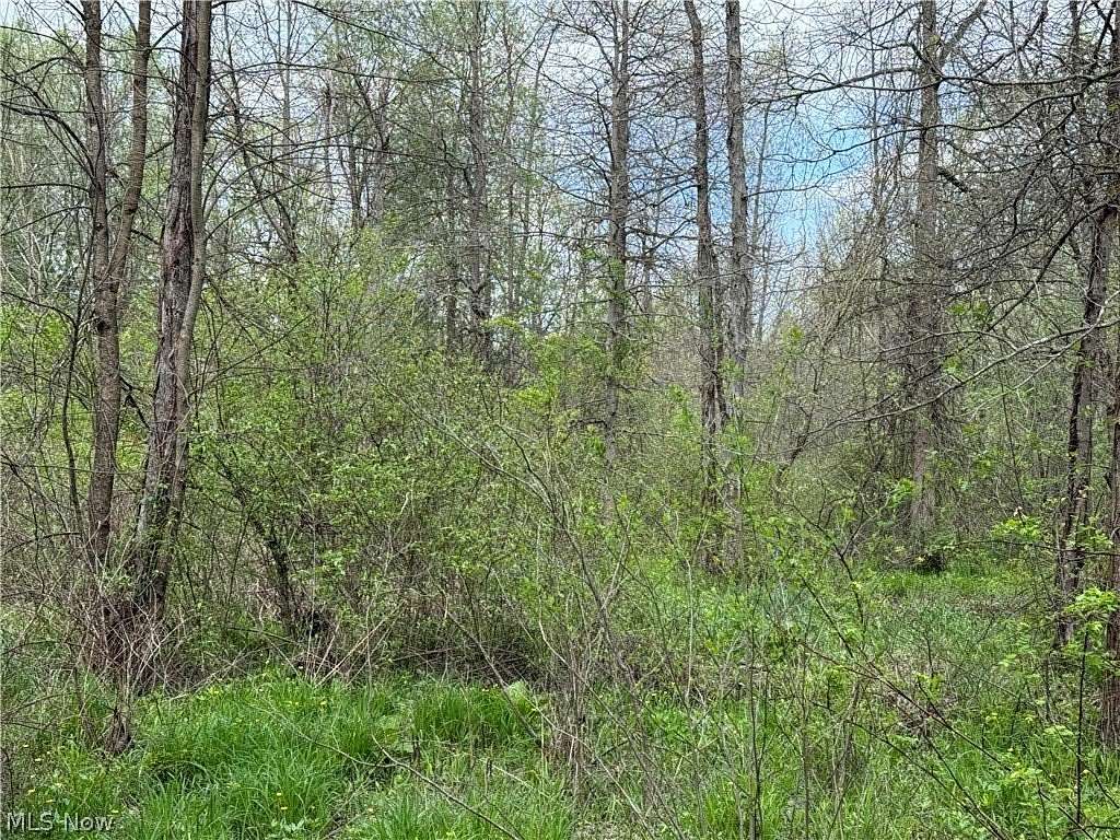 41.8 Acres of Recreational & Residential Land for Sale in Middlefield, Ohio