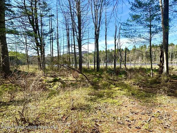 10 Acres of Residential Land for Sale in Bearsville, New York