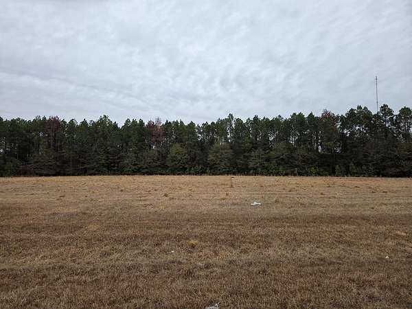 2.3 Acres of Residential Land for Sale in Cordele, Georgia