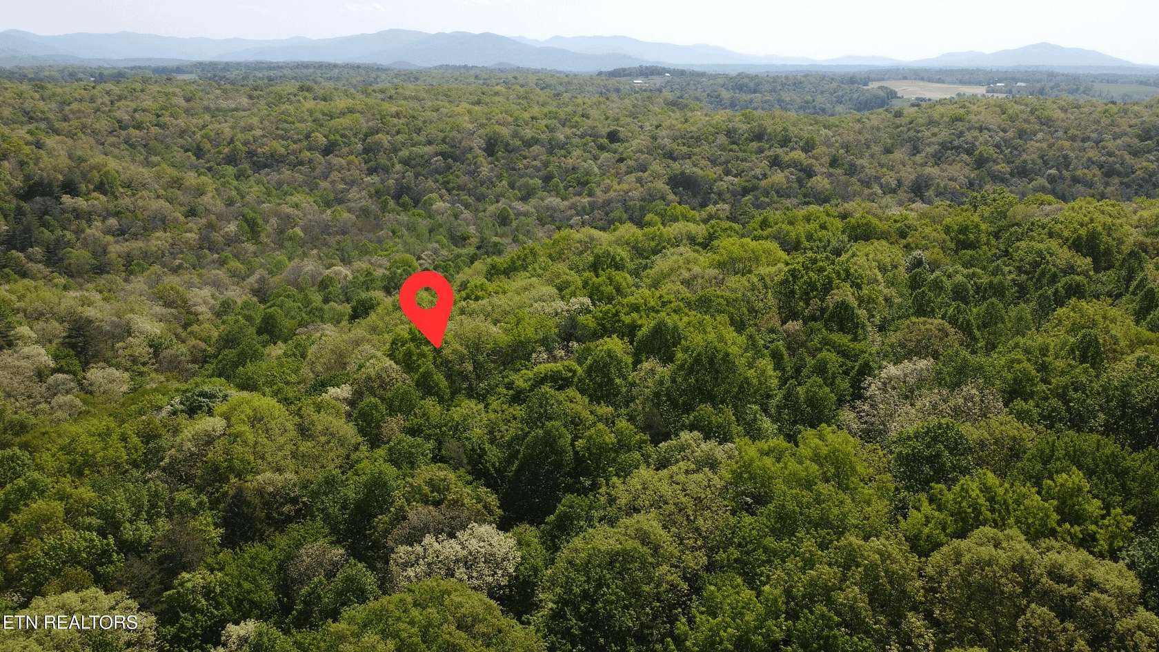 26.2 Acres of Land for Sale in Lancing, Tennessee