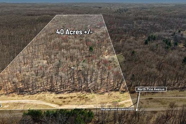 40 Acres of Recreational & Residential Land for Sale in Big Rapids, Michigan