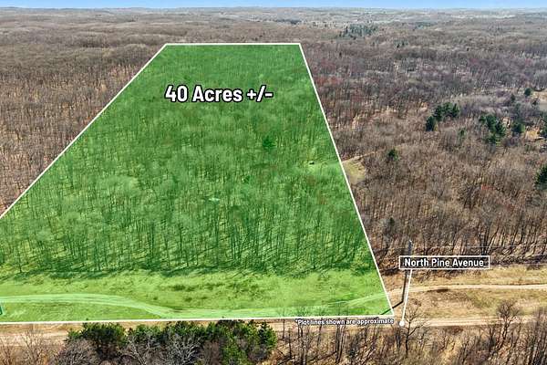 40 Acres of Recreational & Residential Land for Sale in Big Rapids, Michigan