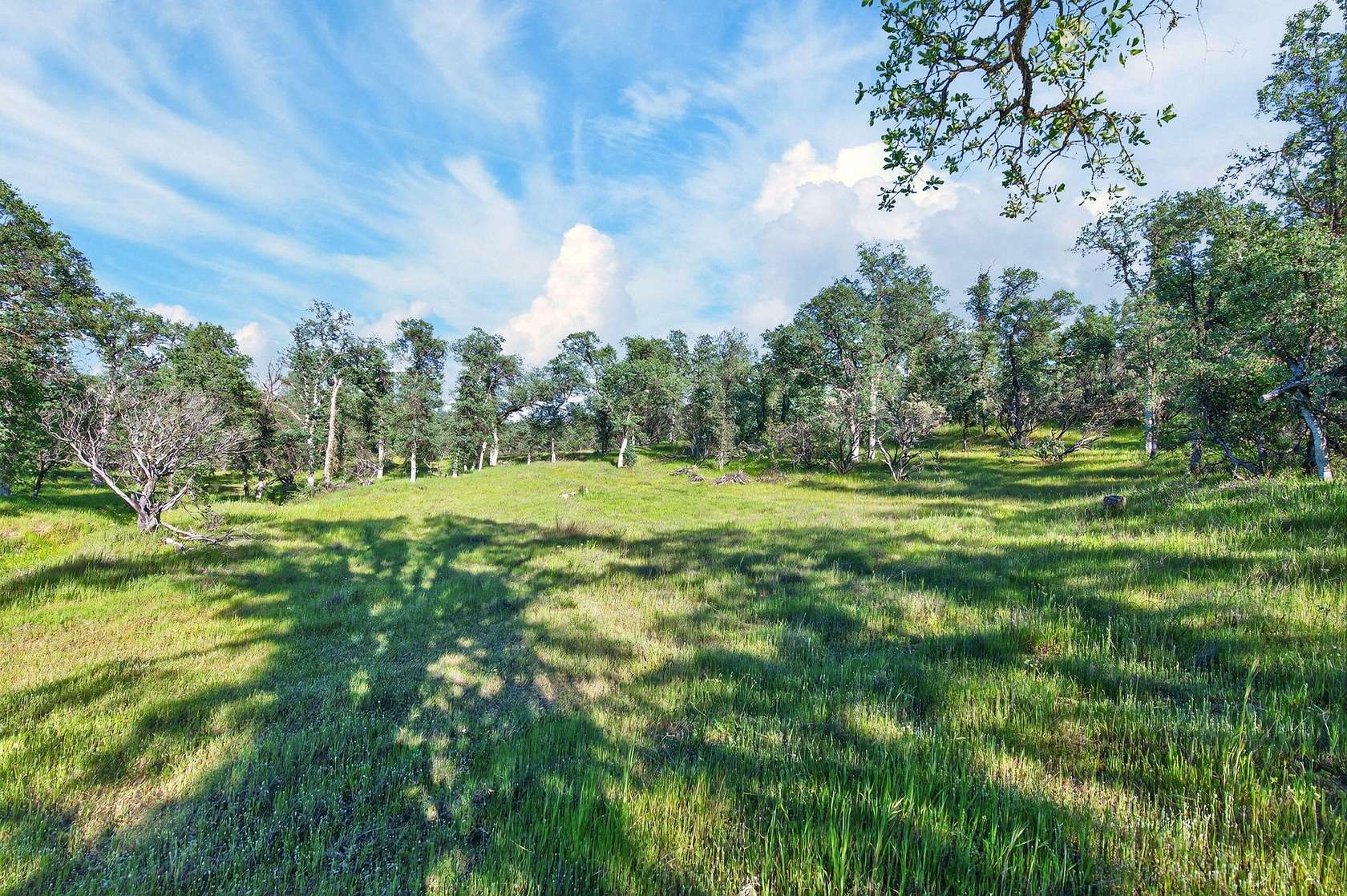 6.7 Acres of Land for Sale in Cottonwood, California