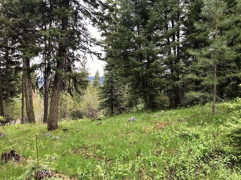 0.44 Acres of Residential Land for Sale in McCall, Idaho
