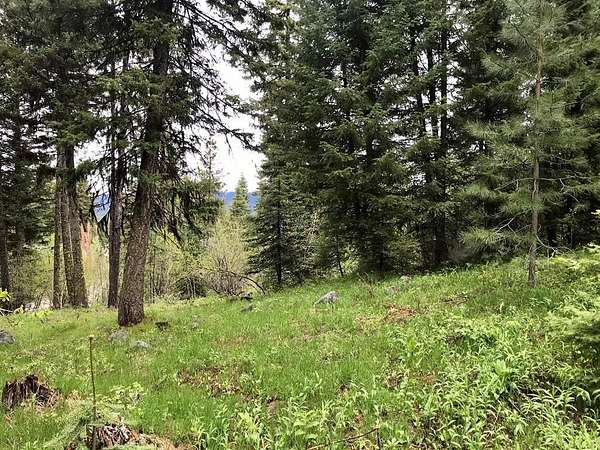 0.44 Acres of Residential Land for Sale in McCall, Idaho