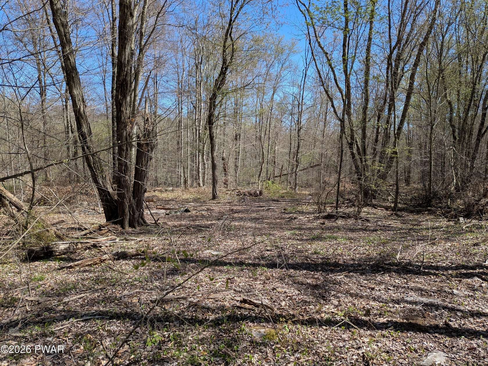17 Acres of Recreational & Residential Land for Sale in Honesdale, Pennsylvania