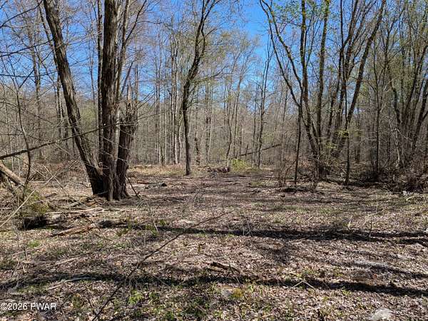 17 Acres of Recreational & Residential Land for Sale in Honesdale, Pennsylvania