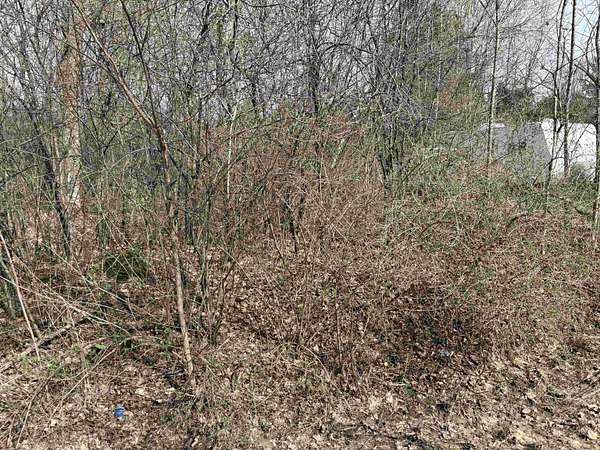 0.19 Acres of Land for Sale in Norfolk, New York