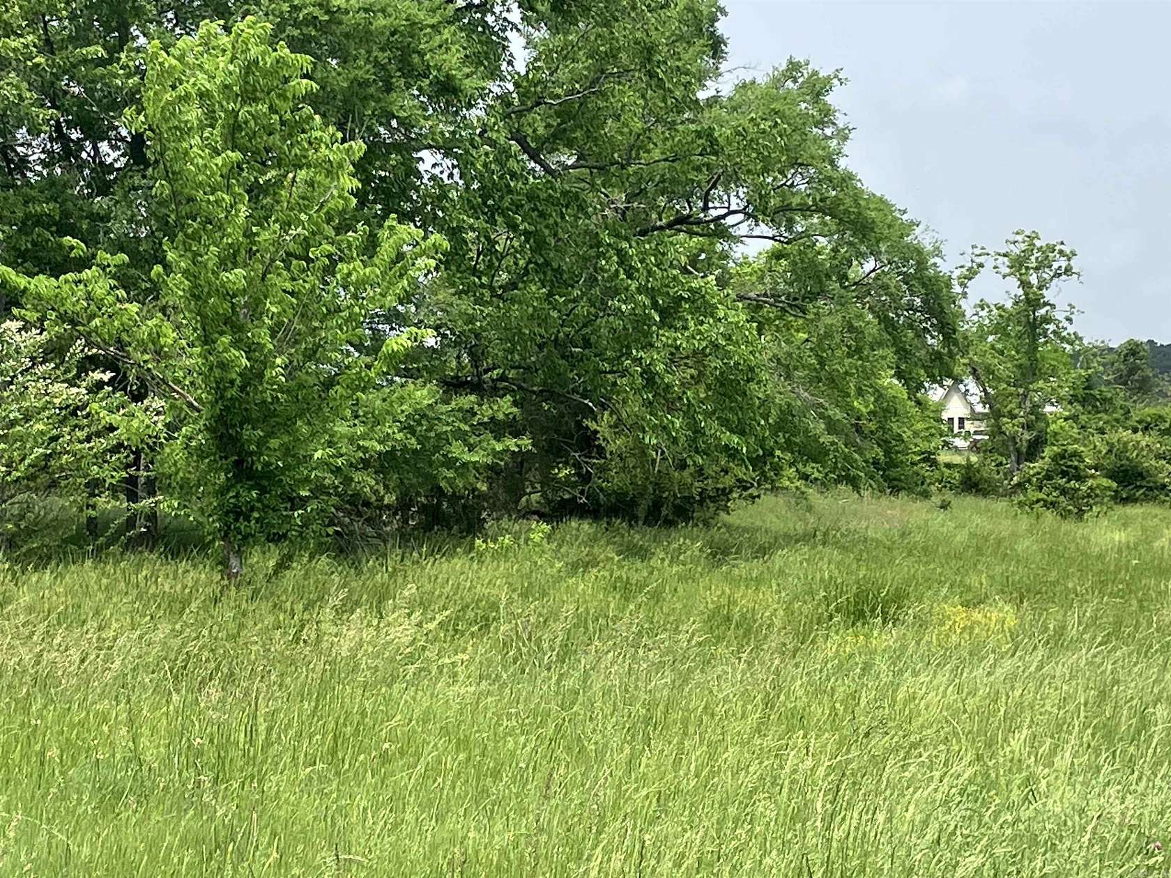 21.5 Acres of Agricultural & Residential Land for Sale in Pencil Bluff, Arkansas