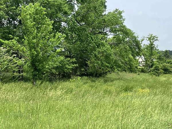 21.5 Acres of Agricultural & Residential Land for Sale in Pencil Bluff, Arkansas