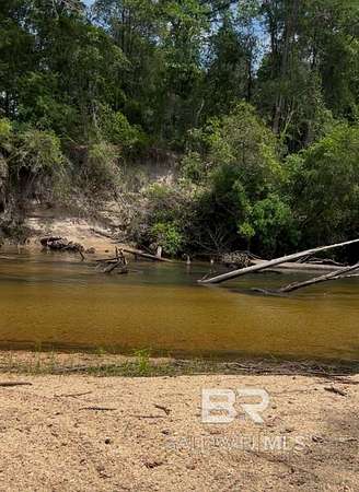 159 Acres of Land for Sale in Atmore, Alabama