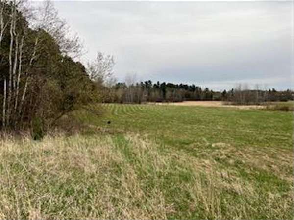 11 Acres of Land for Sale in Isanti, Minnesota
