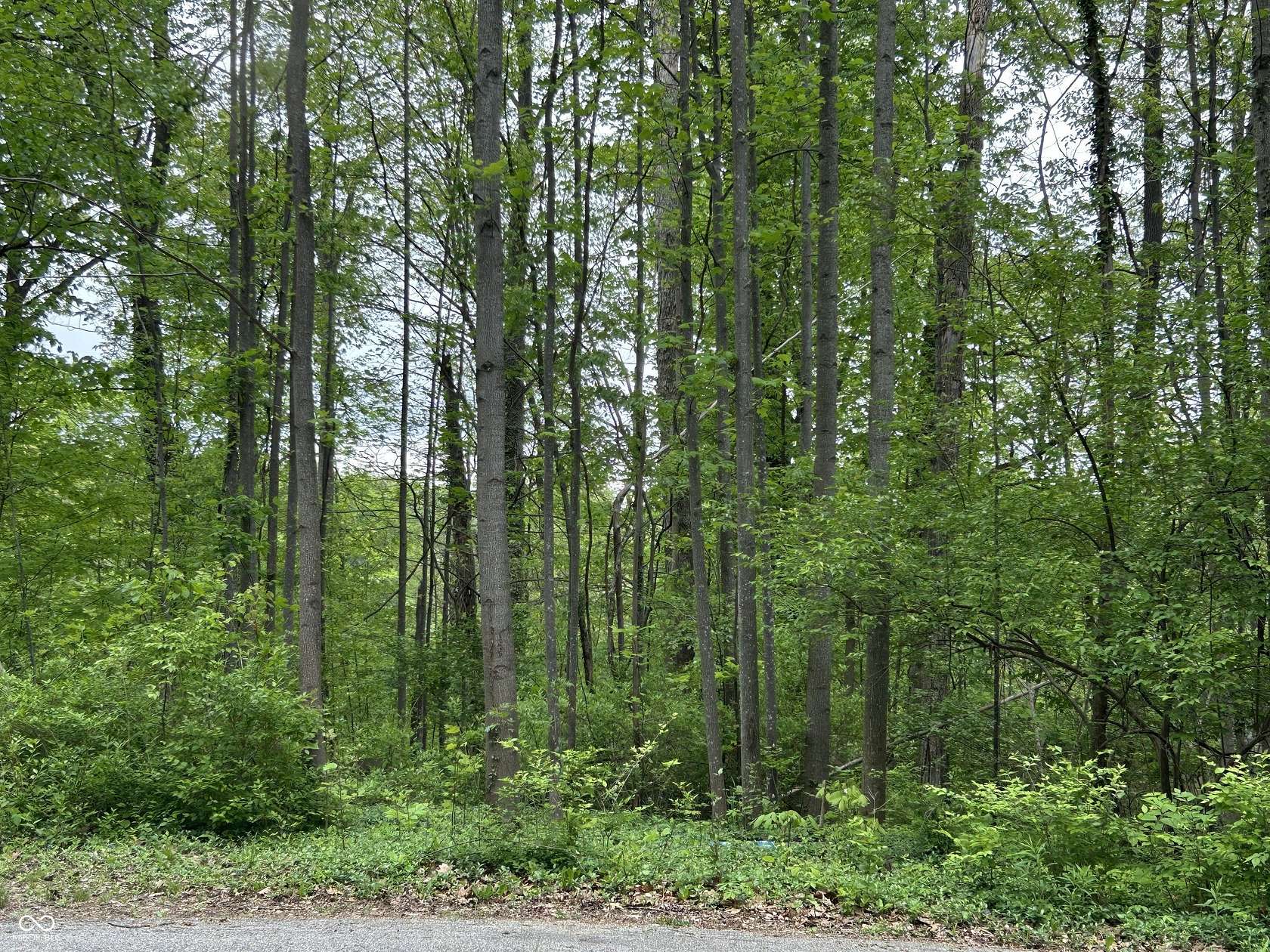 0.12 Acres of Residential Land for Sale in Nineveh, Indiana