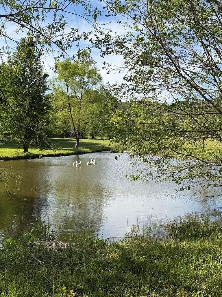 31.5 Acres of Land for Sale in Murphy, North Carolina