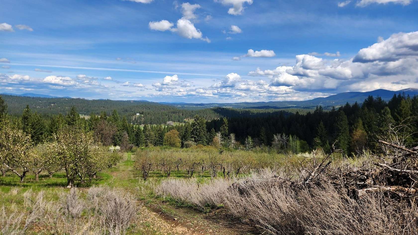25.6 Acres of Land for Sale in Colbert, Washington