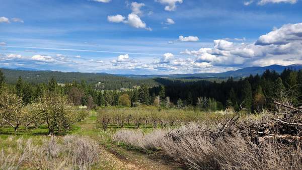 25.6 Acres of Land for Sale in Colbert, Washington