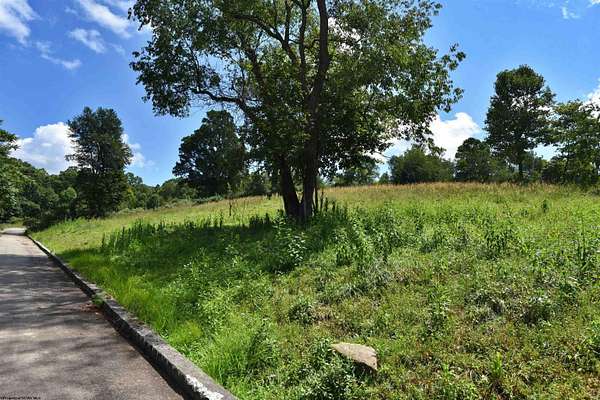 0.55 Acres of Residential Land for Sale in Grafton, West Virginia