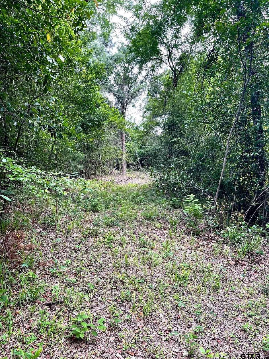 4 Acres of Land for Sale in Tyler, Texas