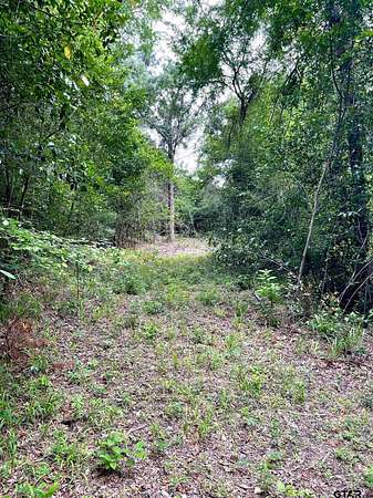 4 Acres of Land for Sale in Tyler, Texas