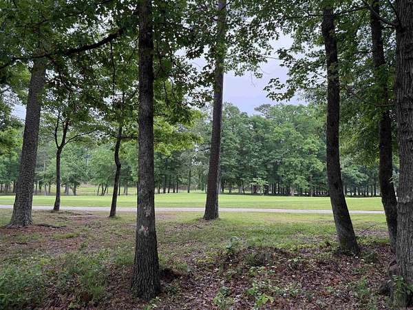 0.31 Acres of Residential Land for Sale in Little Rock, Arkansas