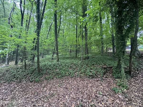 0.5 Acres of Residential Land for Sale in Knoxville, Tennessee