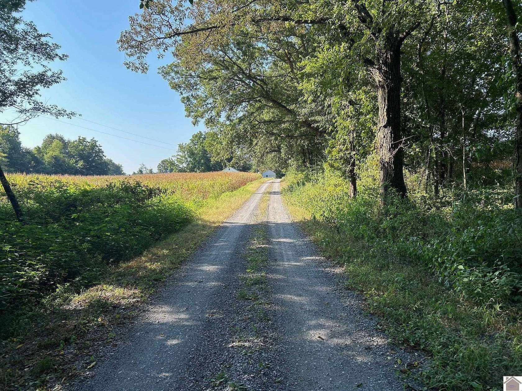 14 Acres of Land for Sale in Murray, Kentucky
