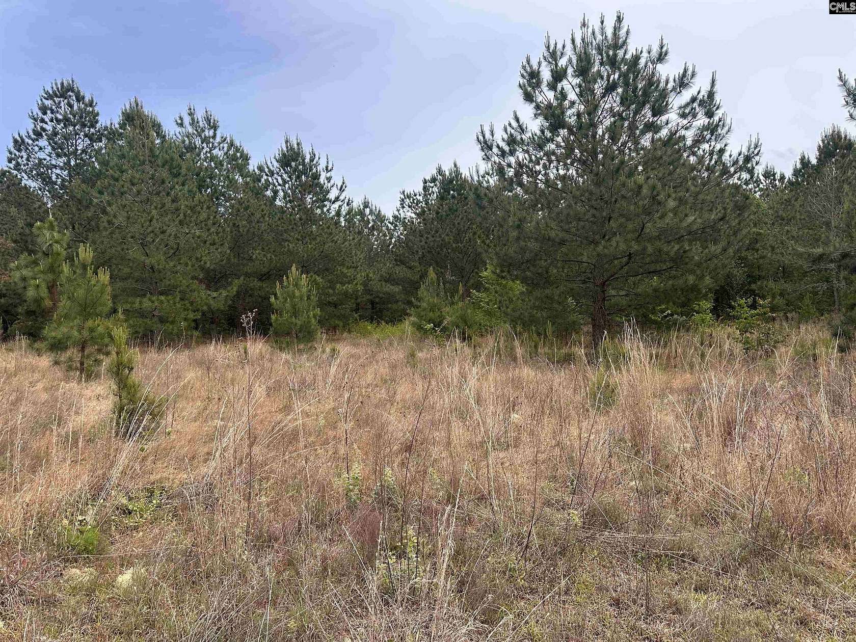 6.2 Acres of Residential Land for Sale in Hartsville, South Carolina