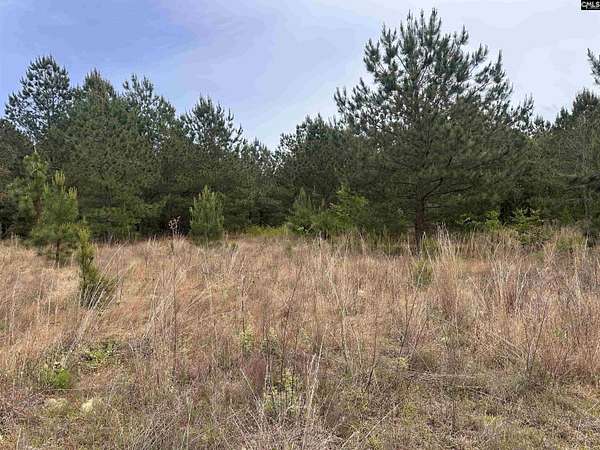 6.2 Acres of Residential Land for Sale in Hartsville, South Carolina