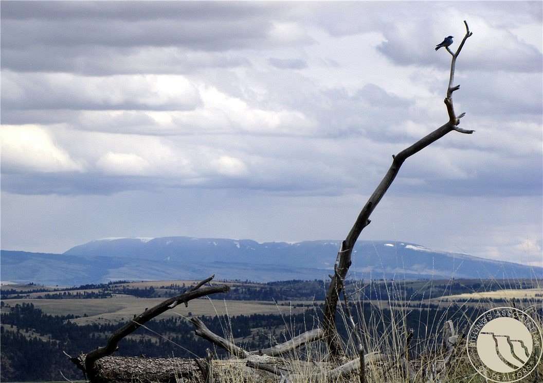 21.9 Acres of Land for Sale in Columbus, Montana