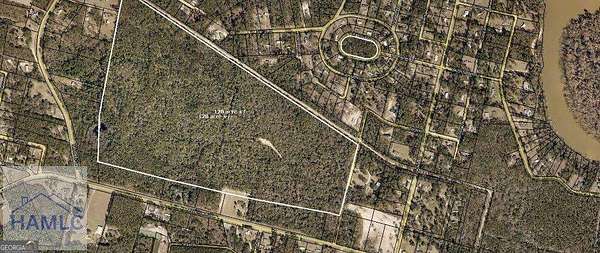 120 Acres of Mixed-Use Land for Sale in Jesup, Georgia