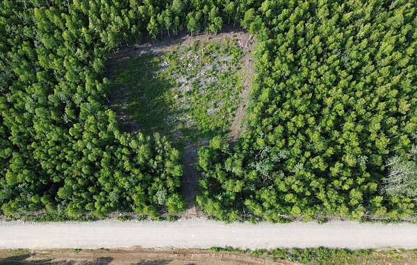 2.34 Acres of Land for Sale in Delta Junction, Alaska