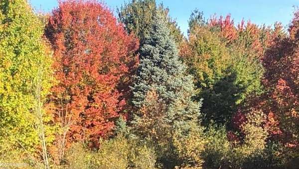 2.34 Acres of Residential Land for Sale in Cottrellville Township, Michigan