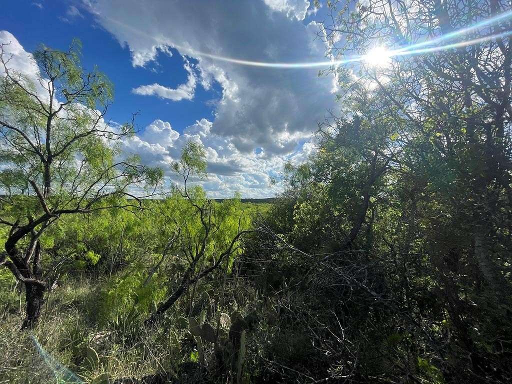 0.8 Acres of Residential Land for Sale in Menard, Texas