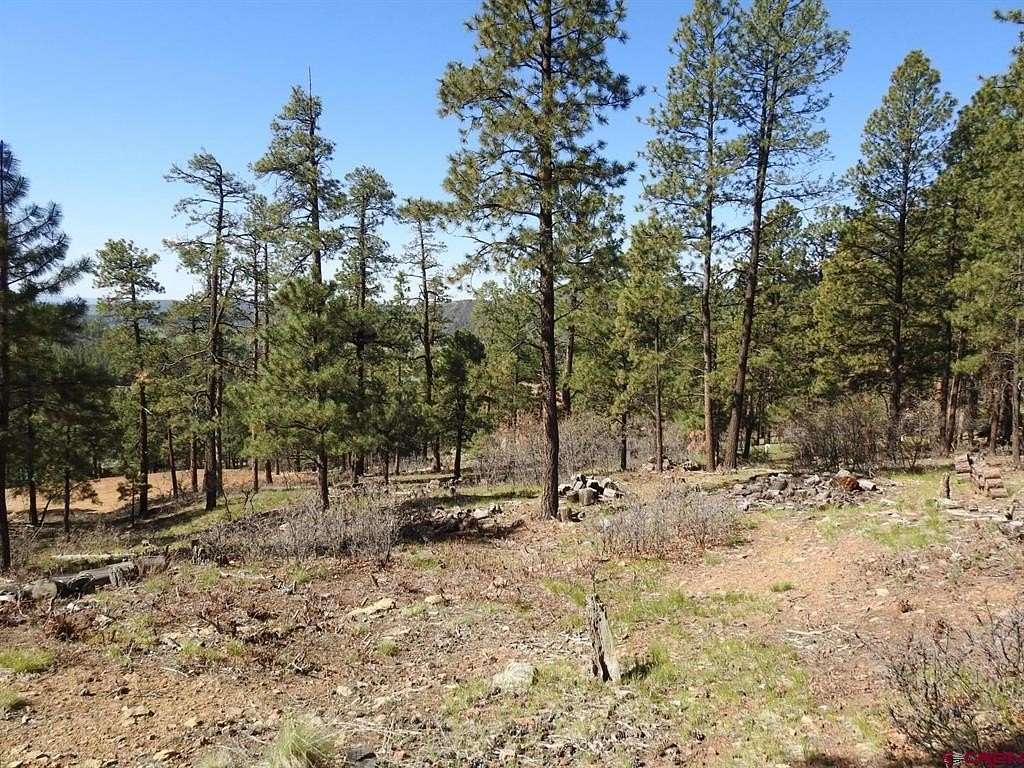 1 Acre of Residential Land for Sale in Bayfield, Colorado