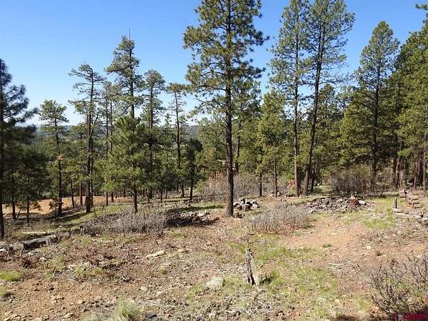 1 Acre of Residential Land for Sale in Bayfield, Colorado