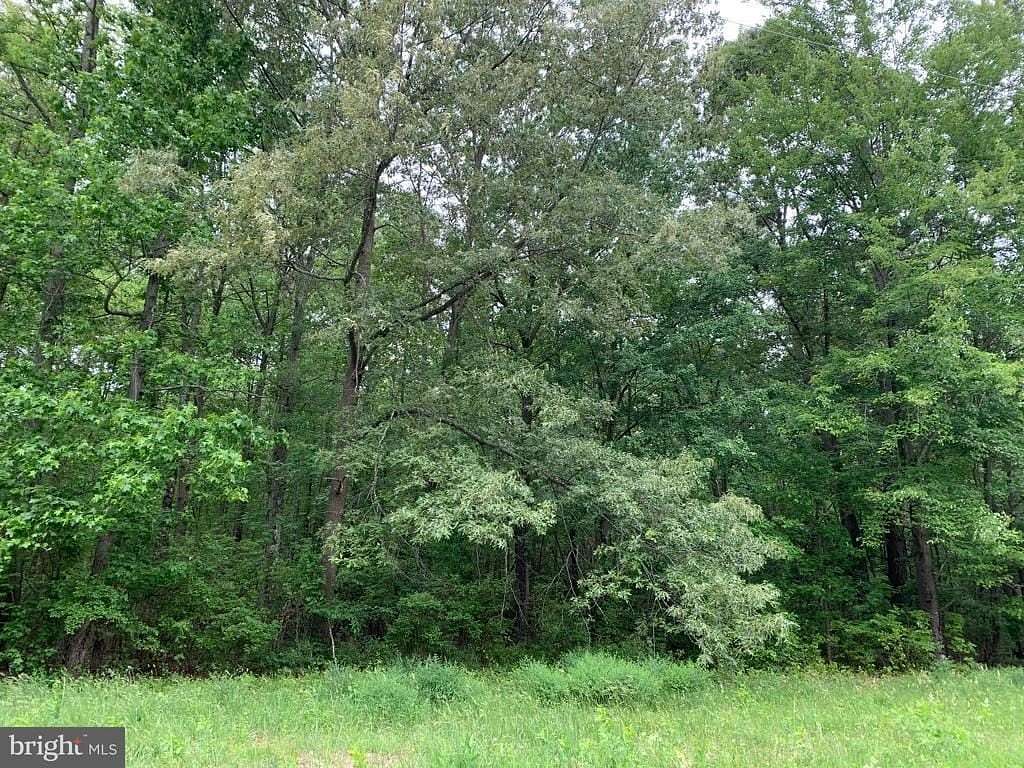 10.3 Acres of Recreational & Residential Land for Sale in Galena, Maryland