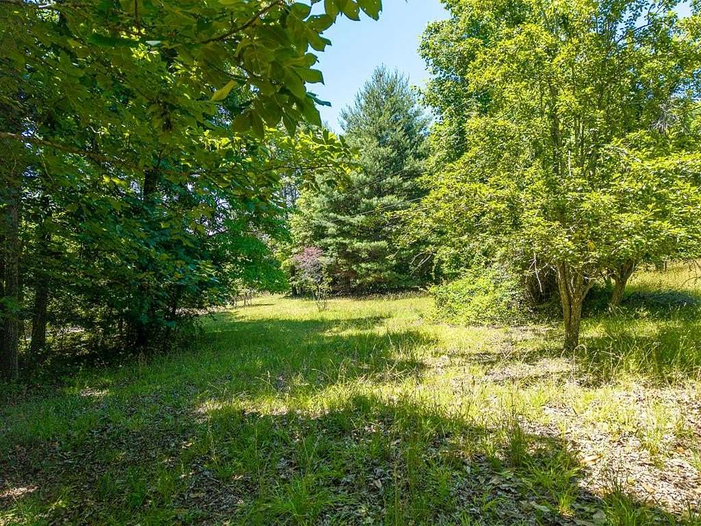 38.4 Acres of Recreational Land for Sale in Blue Ridge, Georgia